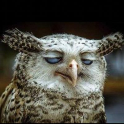 4GpclKYuXoOT3sc's profile picture. 