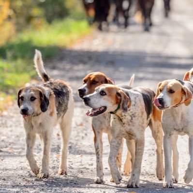 Ottawa Valley Hunt Club