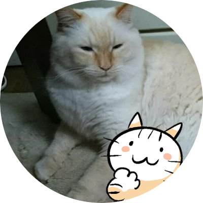 猫ラブ ぎっちょん 赤バブ 9キロボンド ダイエットキャットフードにしたし痩せたかな って母にlineしたら 痩せた気がするよ って送られて来たデブカワキュートなお写真 痩せてない でも可愛い 寝ながら泳いでらっしゃる そんな太って見え