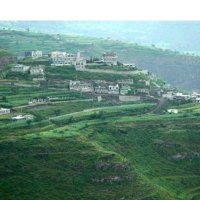 الرجل العصامي (@abufaisal4647) Twitter profile photo