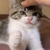 sorunlarm war (@ceiibon) 's Twitter Profile Photo