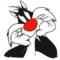 Torge32373655's profile picture. 