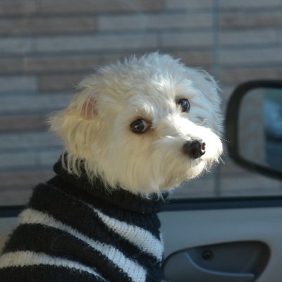 plus_colt's profile picture. ちょっと旧い乗用車が好物です。