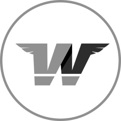 Wingman Trades | Make money today 📈
