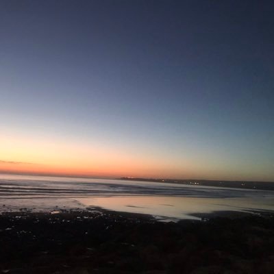 Freneileming's profile picture. 