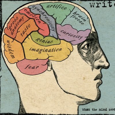 TheBrainzFilms's profile picture. Providing videos to educate the world