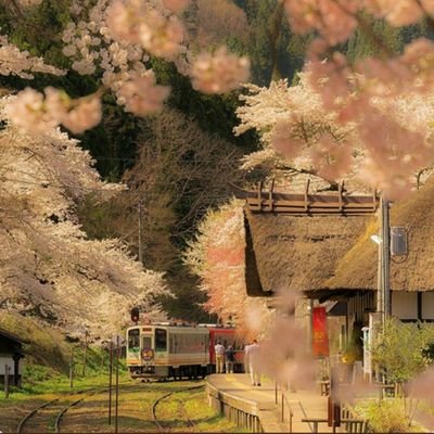 MAZLUMLAR12's profile picture. 