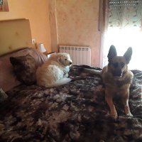 Penelope57 (@penelope57) 's Twitter Profile