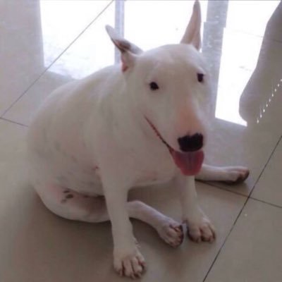 Happygo51133098's profile picture. 160