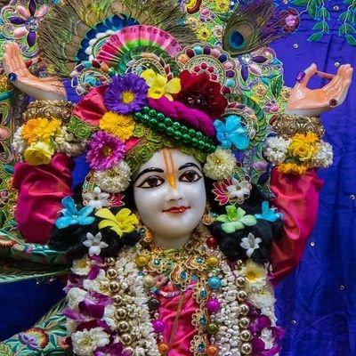 MohanGi56347576's profile picture. 