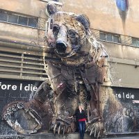 Simona BS (@beessimo) 's Twitter Profile