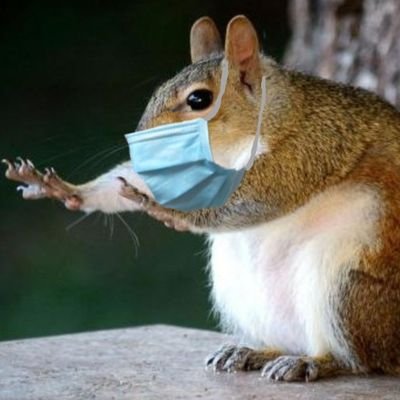 Un peu juriste le jour
Beaucoup gamer la nuit
Adore les GIFS
Amateur de crêpes et de bières.