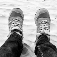 tiburon_zrh (@tiburon04450809) 's Twitter Profile