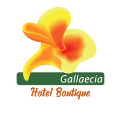 Gallaecia Hotel Boutique, una experiencia inolvidable para ti y tu familia donde la tranquilidad y discreción nos define como un hotel diferente a los demás.