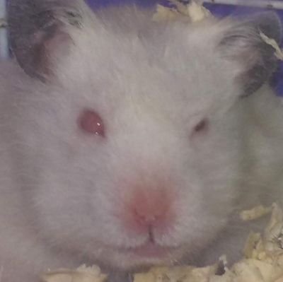 Hana_TH_'s profile picture. :D:
https://t.co/ovH8JL6dp5
https://t.co/AzyidGiz5p