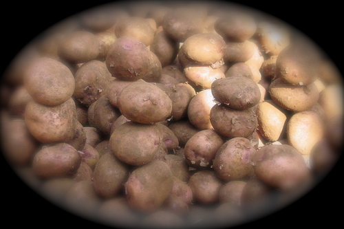 trycommoncents's profile picture. Sharing practical tips on personal finance to maximize the dollar. Life-long learner, saver, and deal-seeker desiring to be a better giver and steward.