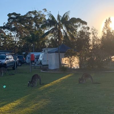 Dmonkey6180's profile picture. Juventus！