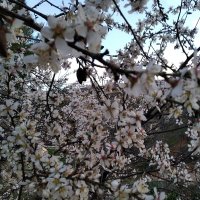 Bertha (@berthaytb) 's Twitter Profile