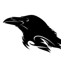 Uçan Karga (@ucankargaa) 's Twitter Profile Photo