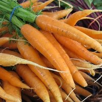 Annabel & Eric (@baybranchfarm) 's Twitter Profile