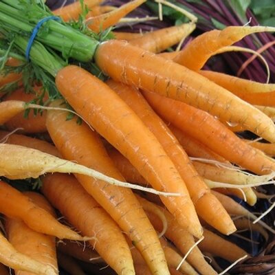 BayBranchFarm's profile image