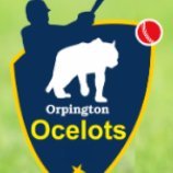 ocelots (@ocelots11) 's Twitter Profile