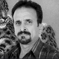 Habib kohistani Tajik💚🤍🖤 (@najib38420747) 's Twitter Profile