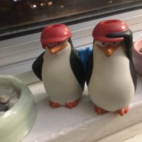 I. P. Cellum (@ilanacellum) 's Twitter Profile