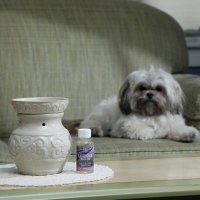 HOSLEY® (@hosleystore) 's Twitter Profile Photo