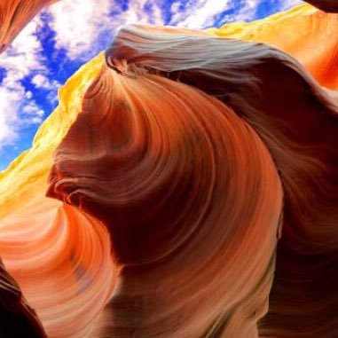 BeLuCoin's profile picture. 