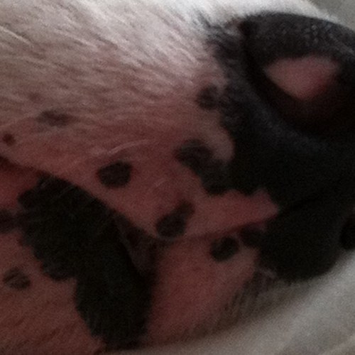 MotionWestern's profile picture. I am a free-thinking, freedom-loving, anti-religion, intellectual with a penchant for not taking shit too seriously.