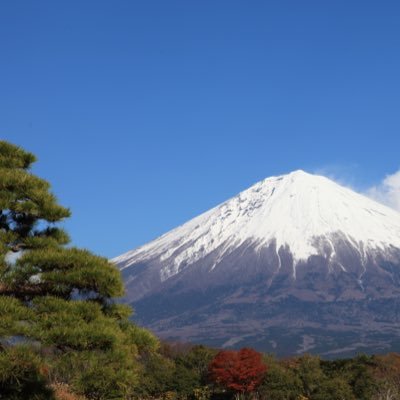 写真とcoffeeが好きなので、写真を展示出来るcoffee shopをやりたいな。