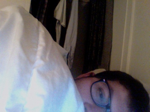 mariachirobot's profile picture. 