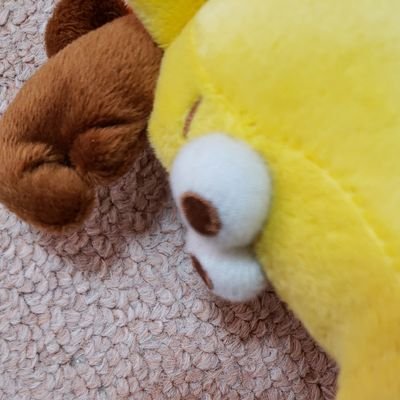 SPToFWTZpEWKMwd's profile picture. なんちゃってエアロビクスのインストラクターでーす👍
はなぺちゃワンちゃんが💓♥️❤️です🙆