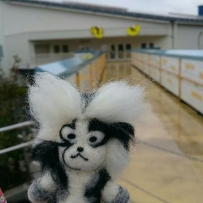 ミズキさんのプロフィール画像