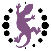 The Detransition Advocacy Network (TDAN)