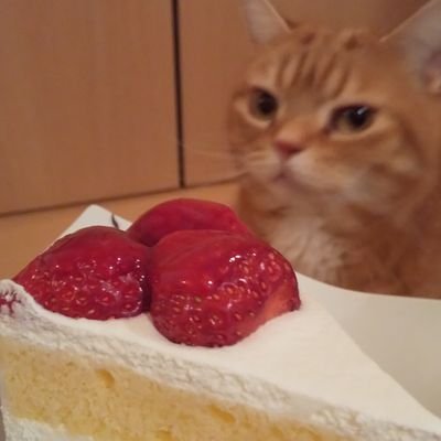 l8sKEV7Xuk90iIC's profile picture. 高橋優さんが好きです🕊️
ゆあのん🌻ダブのん🌹

小松で空活しています✈️