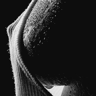 Sam1_1_9_6_6's profile picture. 