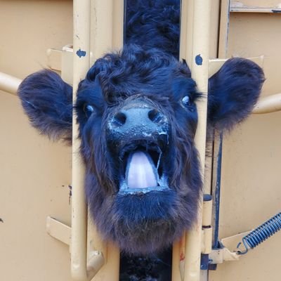 emajohnson21's profile picture. I work on a farm. It's great.
she/her