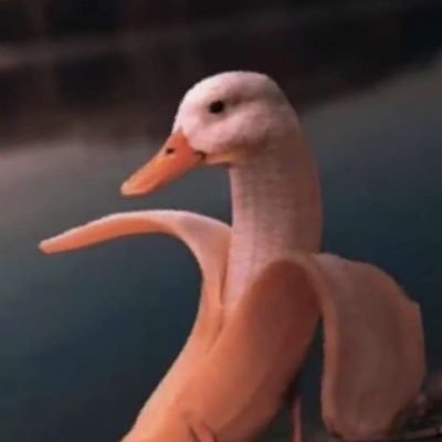 arob1414's profile picture. 