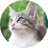 NEKO kunのアイコン