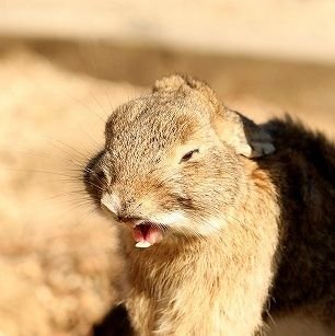 竹原は第二の故郷。たまゆらは心の栄養なので。