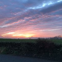 Karen Robertson OT (@karenotrob) 's Twitter Profile