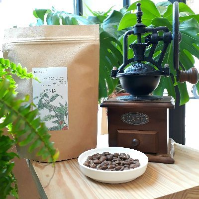 Comprar tazas con filtro para té - BOTANIC Tienda de Café Especialidad en  Valencia y té a granel