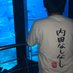 かじキョン(くつした) (@kajikyoncom) Twitter profile photo かじキョン(くつした) (@kajikyoncom) Twitter profile photo