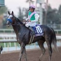 Arrogate(@Arrogat64864268) 's Twitter Profile Photo