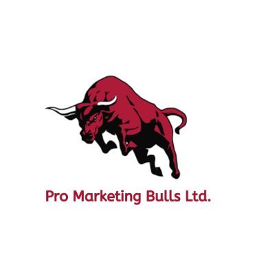 Pro marketing bulls Ltd is a leading company in india to provide the digital marketing services to clients worldwide.