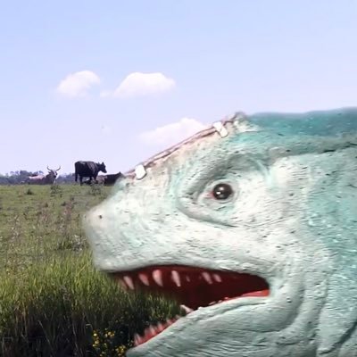 takowasa_jari's profile picture. しゃーく