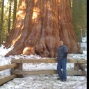 William Trent - @WildBill_Trent - Twitter