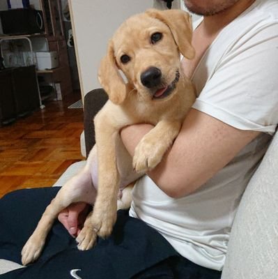 0374Arika's profile picture. 